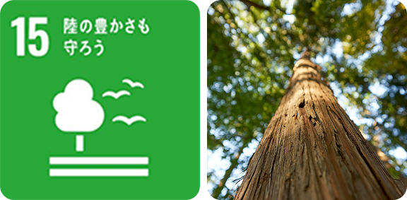国産材の利⽤による脱炭素化や森林保全